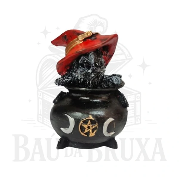 Gato no Caldeirão (Coleção Wicca)