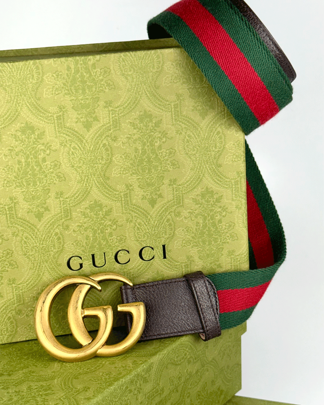 FotoCinto Gucci Double G Logo Web Belt 100