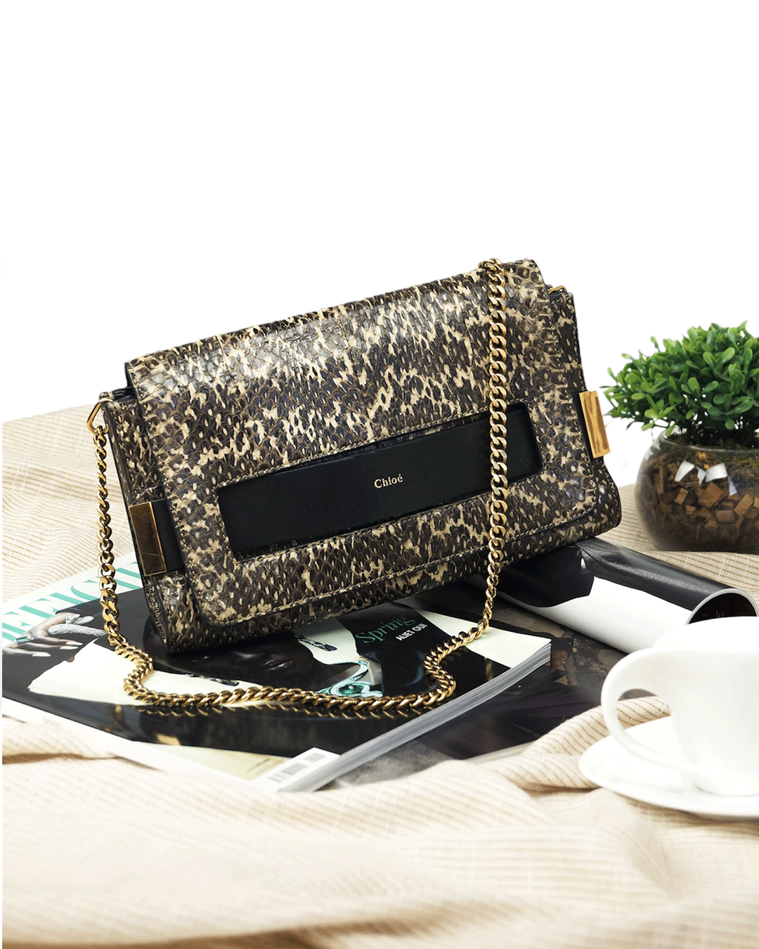 FotoBolsa Chloé Snakeskin Medium Elle Bag