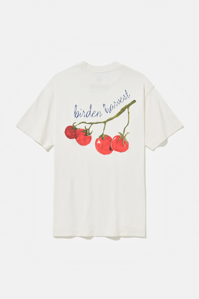 Foto Camiseta Terre & Table