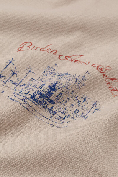 FotoCamiseta Birden Amis