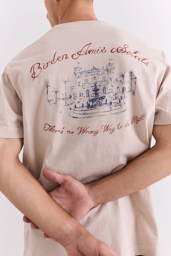 Camiseta Birden Amis