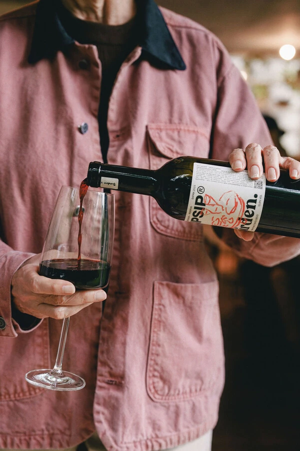 Vinho Cabernet Sauvignon x SIPSIP