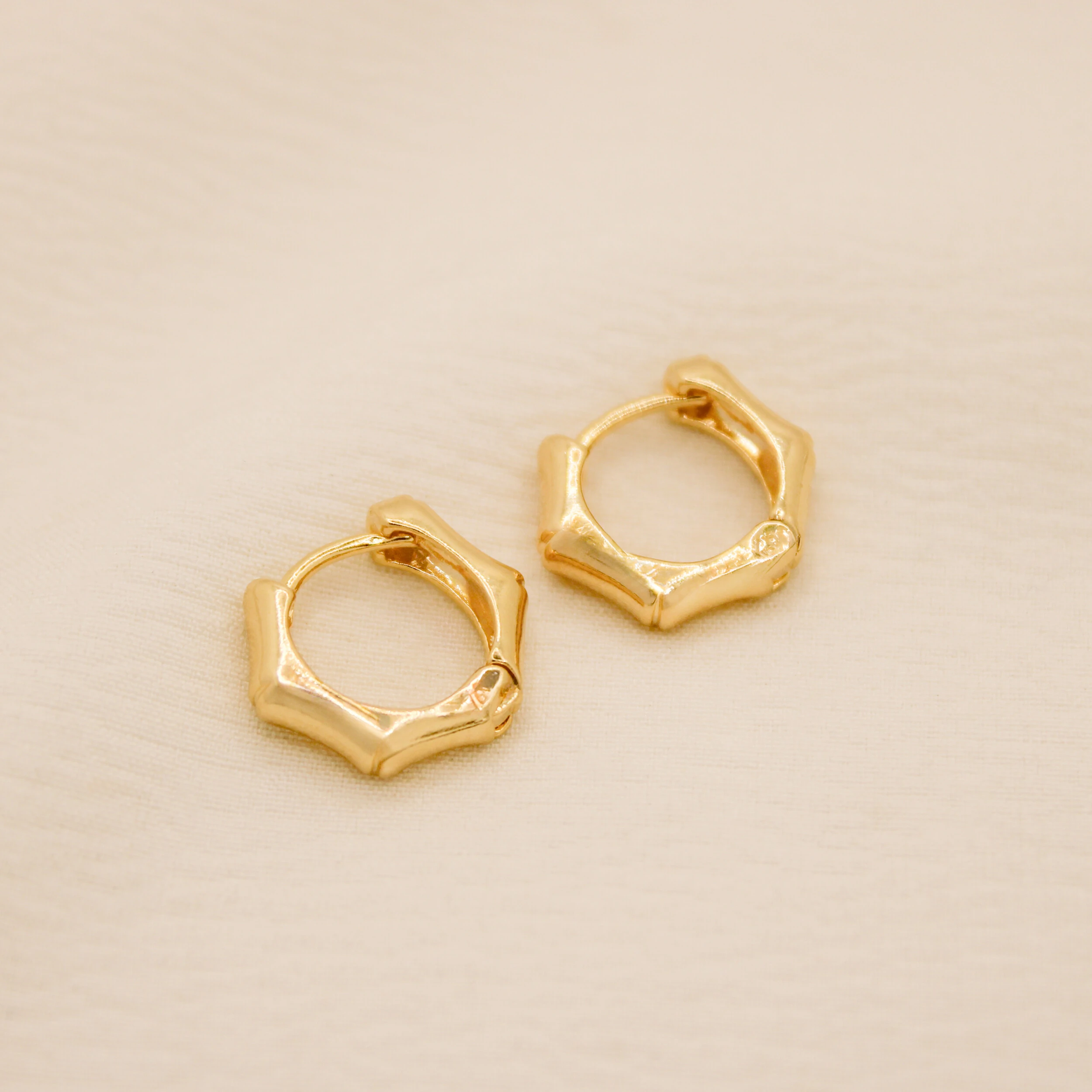 FotoBrinco Himeji Argola Gemétrica com Curvas Delicadas