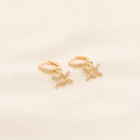 Brinco Signos com Zircônia Cristal