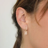 Brinco Signos com Zircônia Cristal