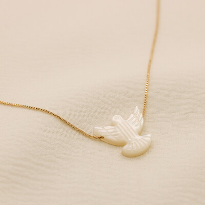 FotoColar Espirito Santo Pomba Madrepérola