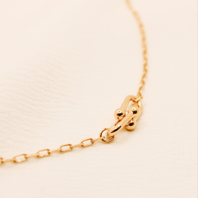 FotoColar Isla Pingente 2 Elos