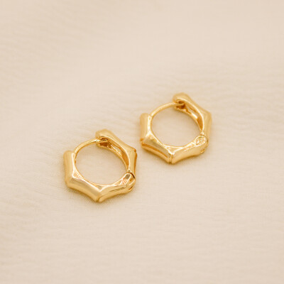 Foto Brinco Himeji Argola Gemétrica com Curvas Delicadas