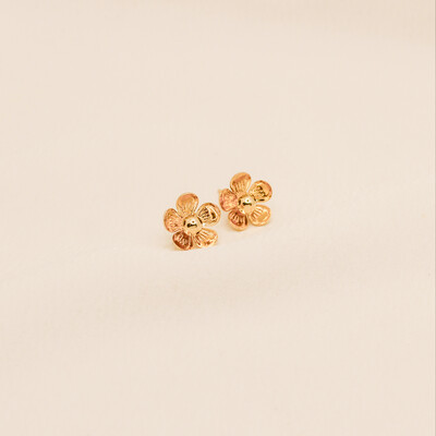 Foto Brinco Anahy Flor Metal