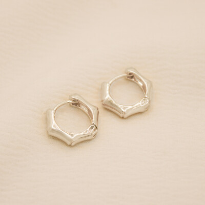 Foto Brinco Himeji Argola Gemétrica com Curvas Delicadas