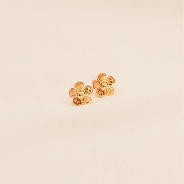 Brinco Anahy Flor Metal