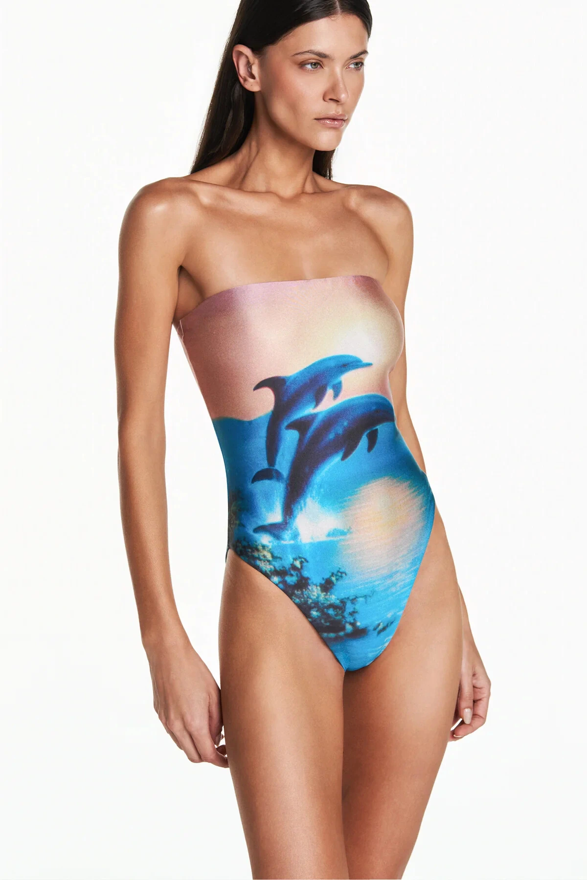 FotoMaiô tomara que caia golfinho