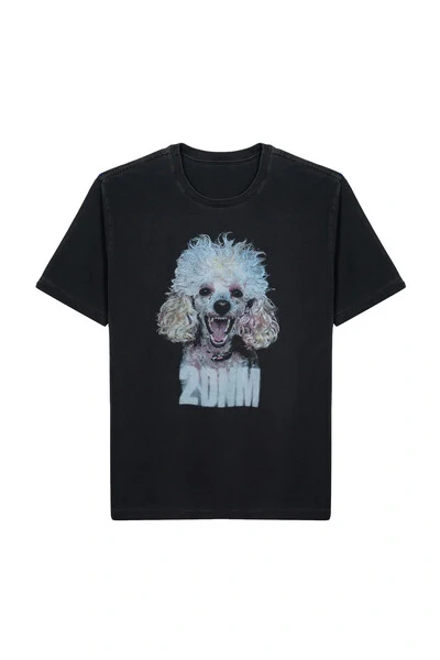 Foto T-shirts Poodle 1