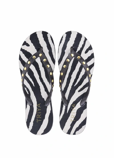 Foto Chinelo Zebra