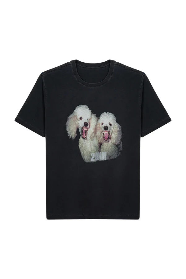 T-shirts Poodle 2