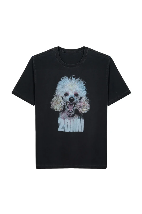 T-shirts Poodle 1