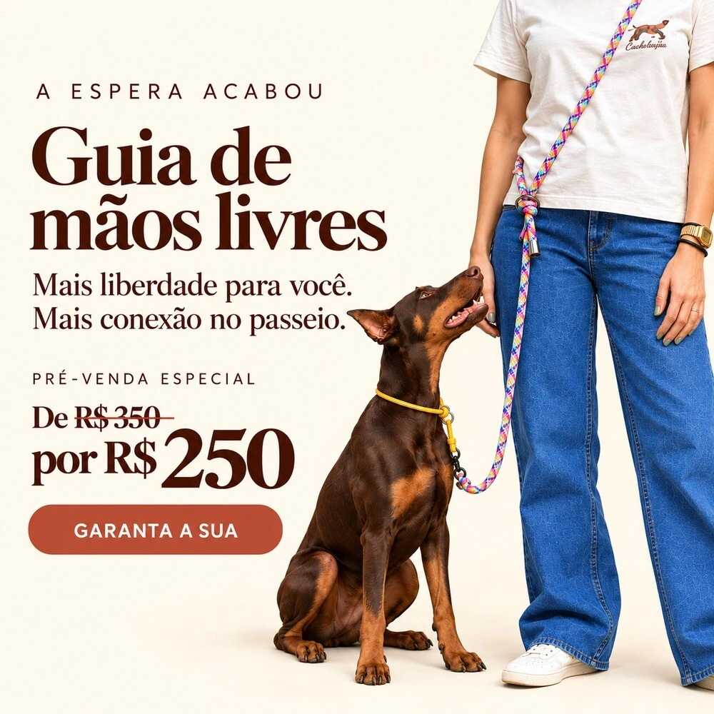 Cachorraria