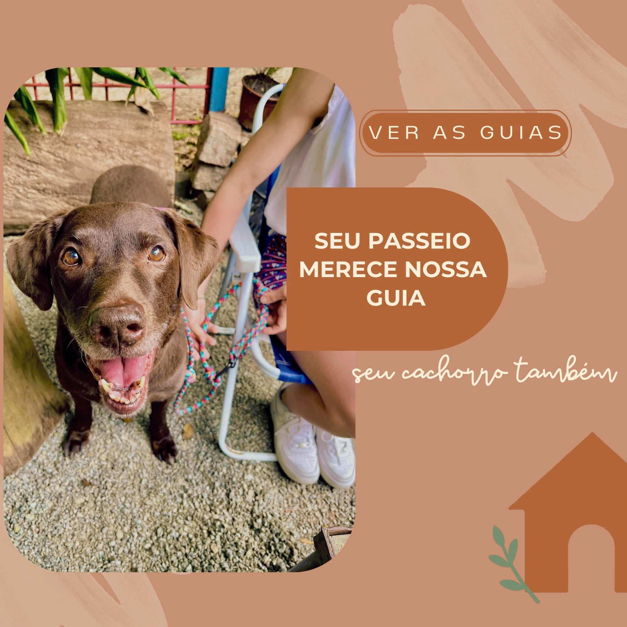 Cachorraria