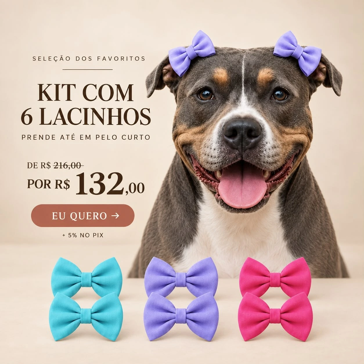 Cachorraria