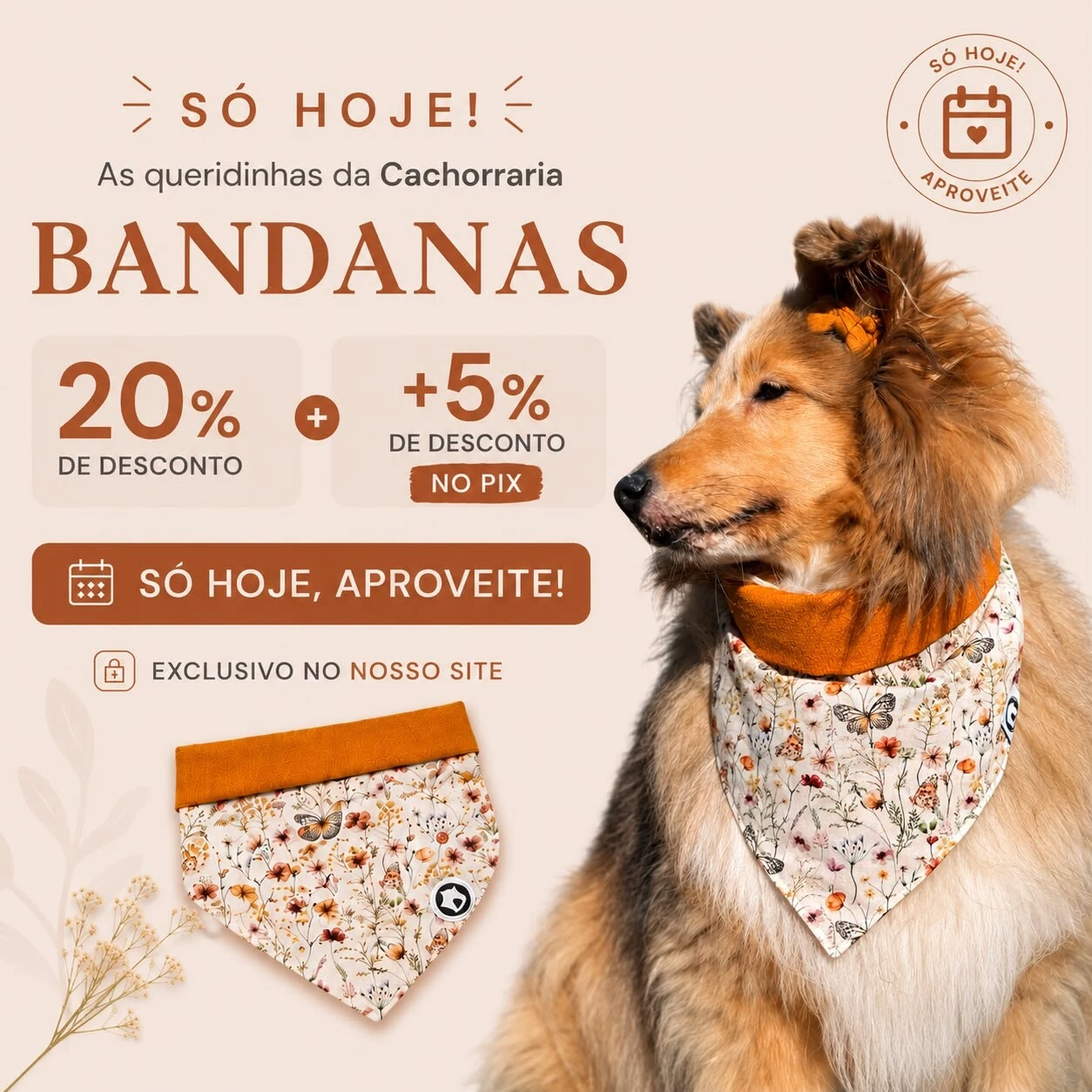 Cachorraria