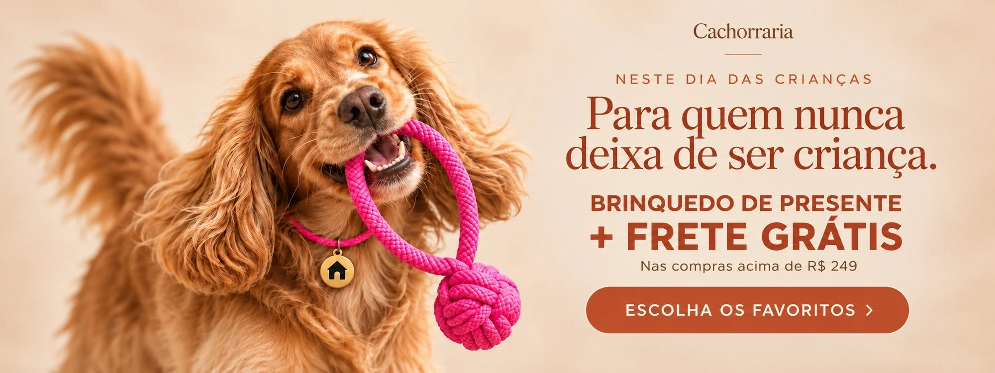 Cachorraria