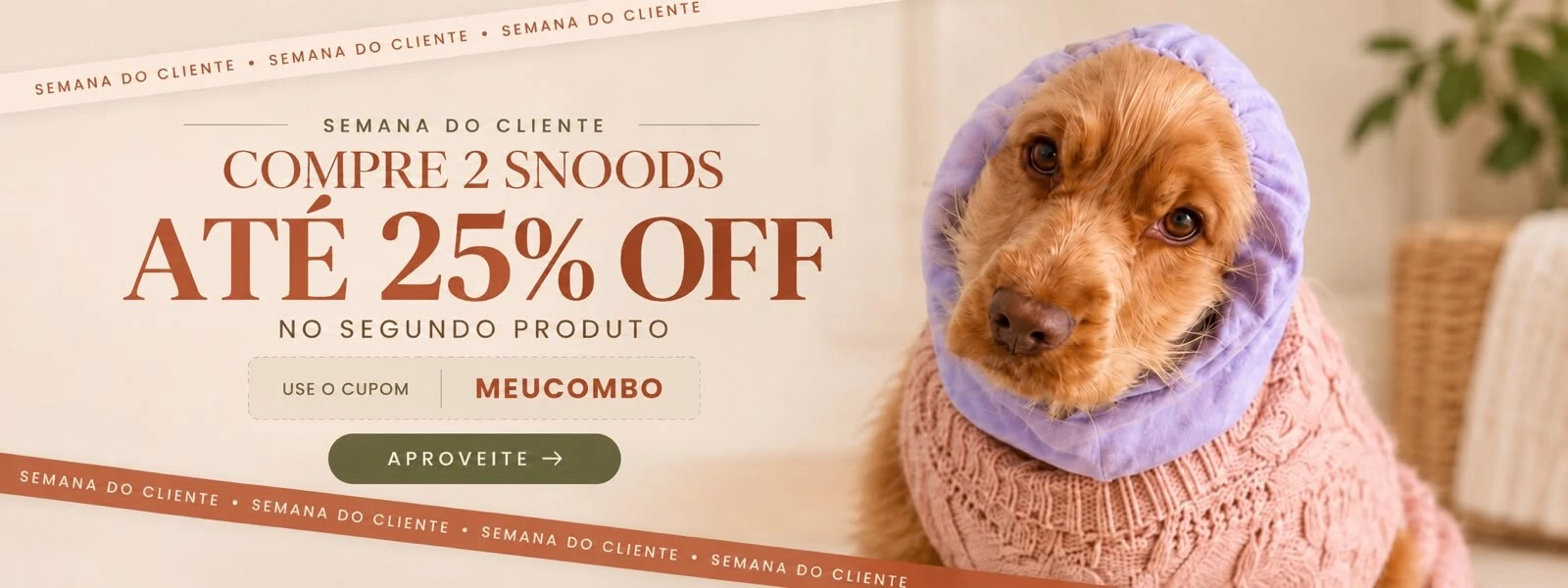 Cachorraria