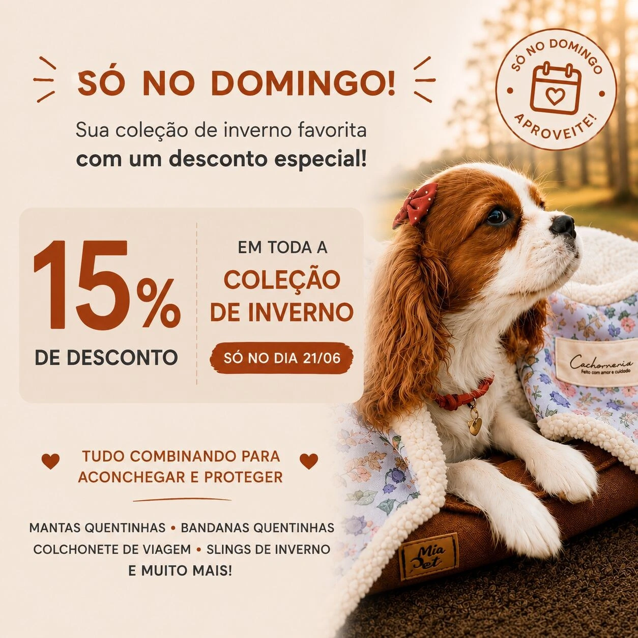Cachorraria
