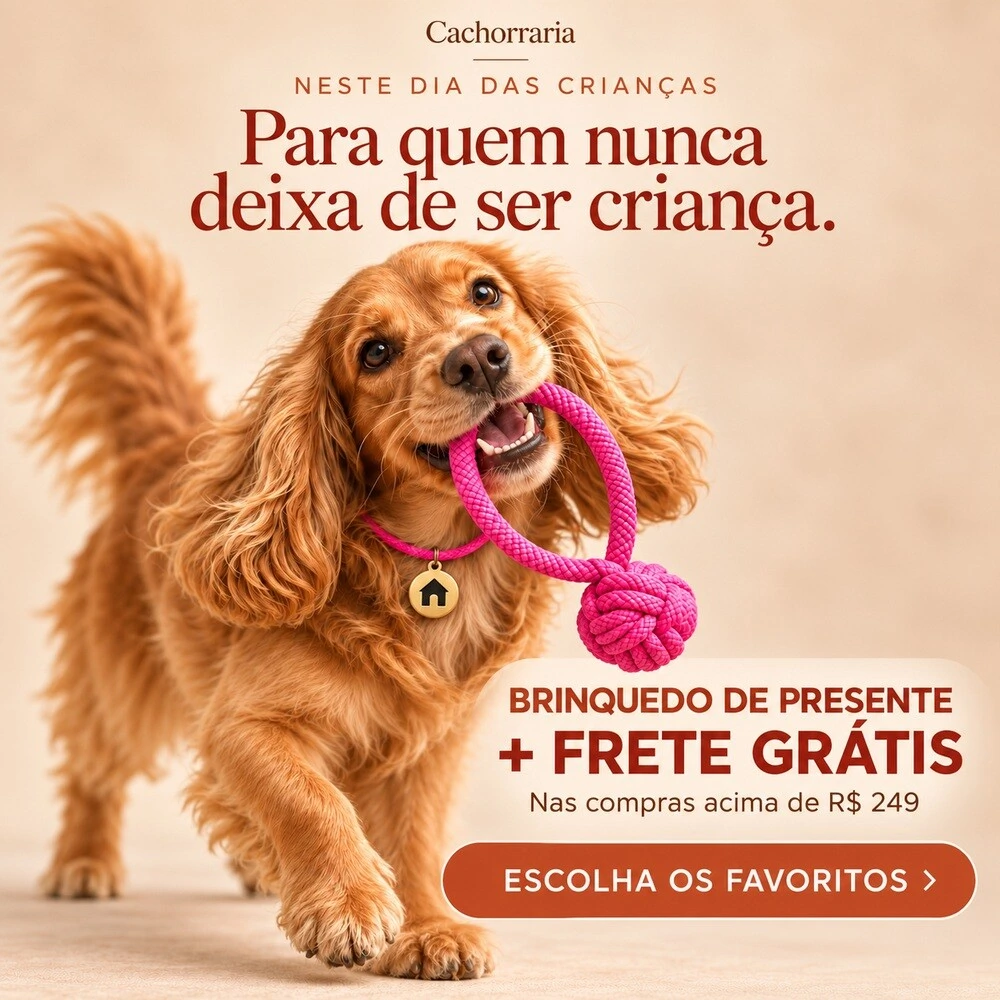 Cachorraria