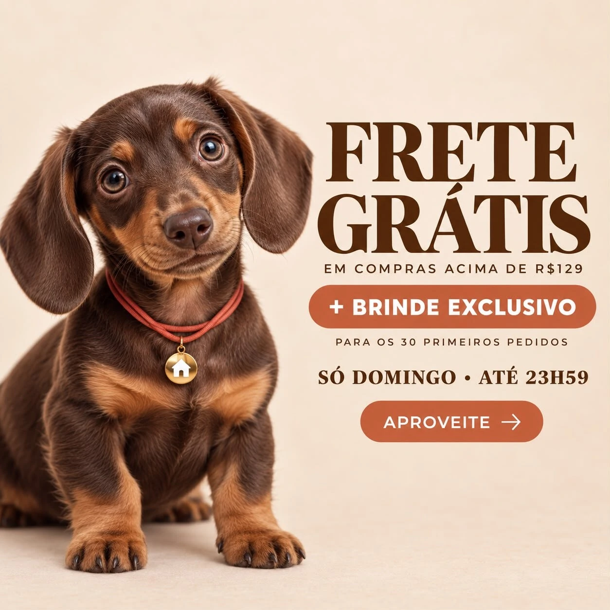 Cachorraria