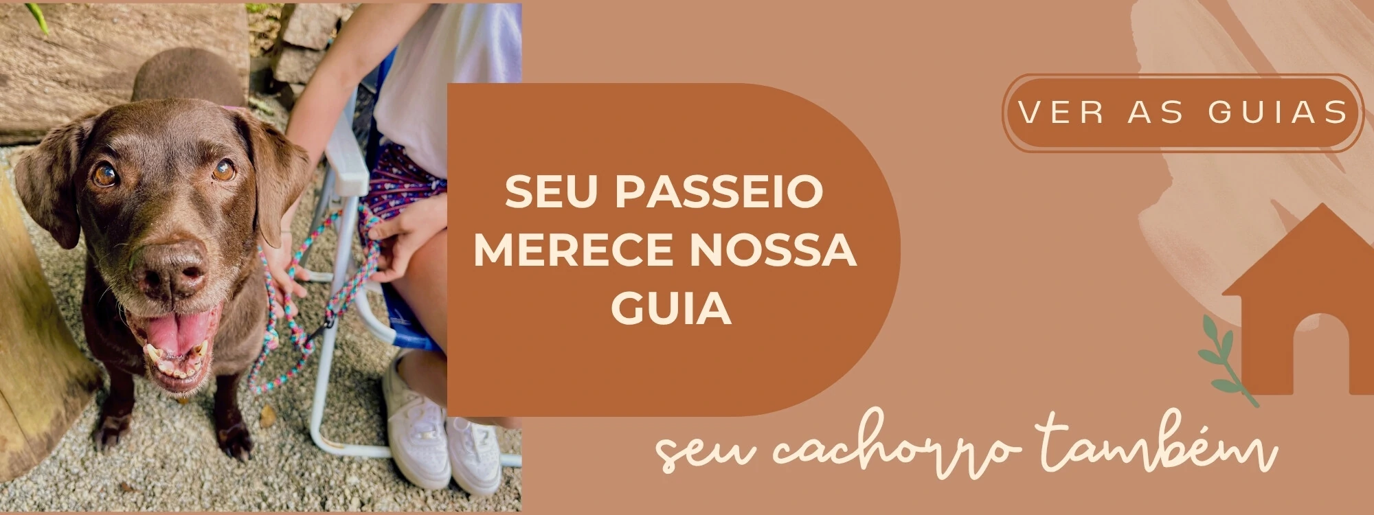 Cachorraria