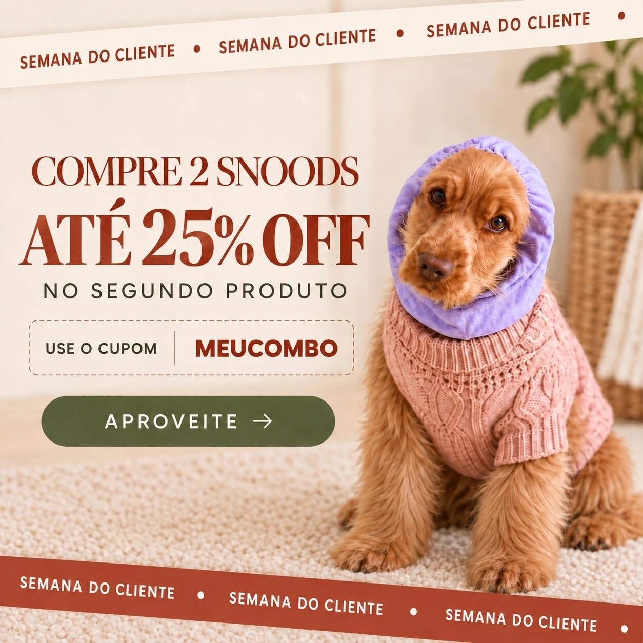 Cachorraria