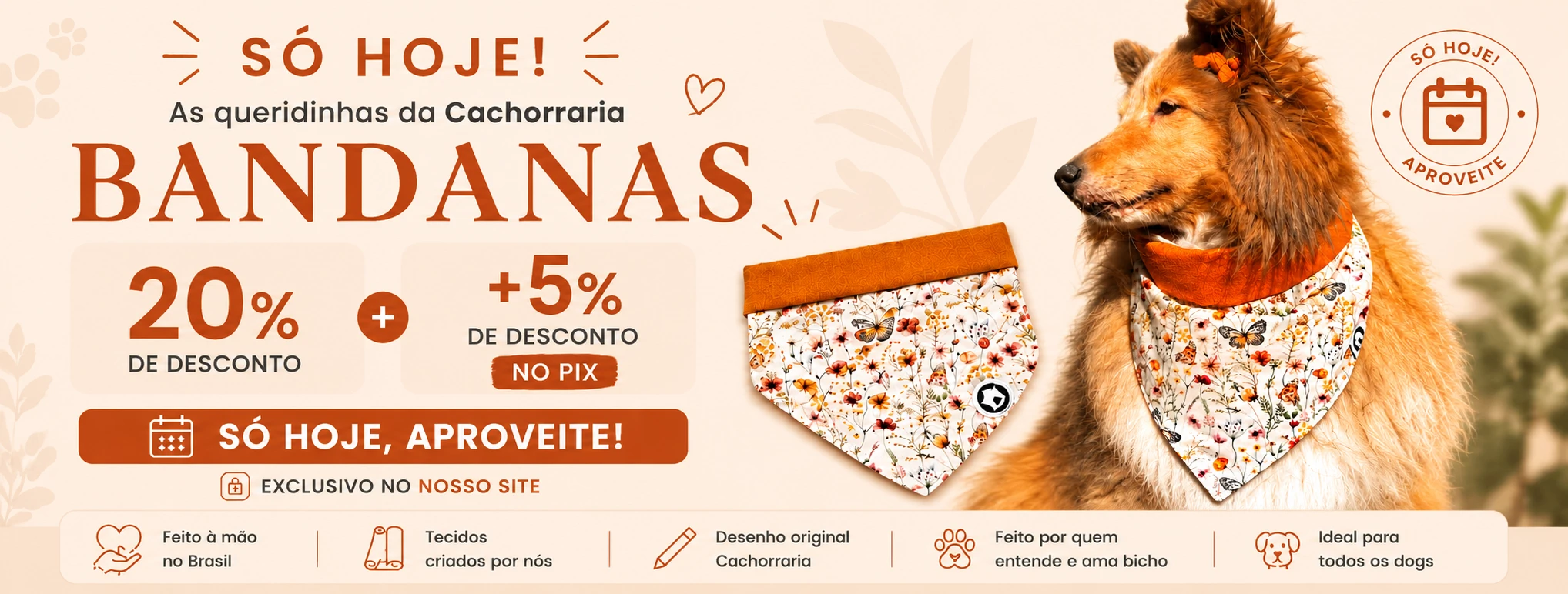 Cachorraria