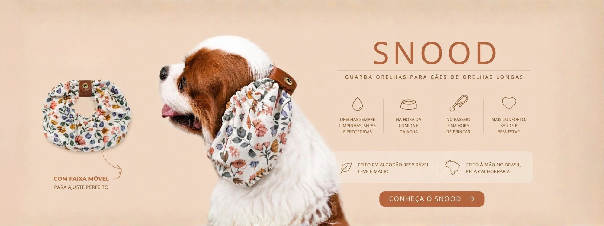 Cachorraria