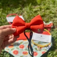 Laçarote com Enchimento Toranja Verso