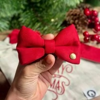 Gravata com Enchimento 