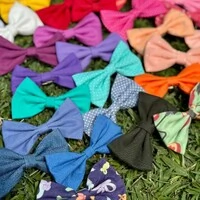 Kit 10 Lacinhos + 1 BRINDE