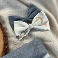 Lacinho sem enchimento Voos para um novo Ciclo Frente