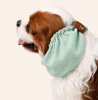 Snood Verde Água Clássico - Guarda Orelhas para cachorros de orelha longa - Cavalier, Cocker