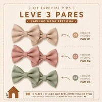 Kit com 6 Lacinhos Mega Presilha – GRUPOVIP- 03 pares - ESCOLHA A COR
