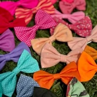 Kit 10 Lacinhos + 1 BRINDE