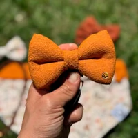 Gravata com Enchimento Alvorada Verso