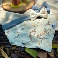 Bandana Voos para um Novo Ciclo