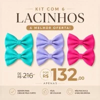 Kit com 6 Lacinhos Mega Presilha – Lavanda, Tiffany e Rosa - 03 pares - para Cachorro