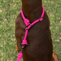 Coleira de Treino para Cachorros em Corda com Limitador – Cachorraria
