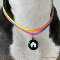 Tag Holder Rainbow - cor variável