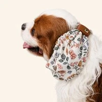 Snood Aurora - Guarda Orelhas para cachorros de orelha longa - Cavalier, Cocker | Cachorraria