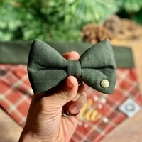 Gravata com Enchimento 