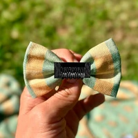 Lacinho sem enchimento Lago dos Patos Verso