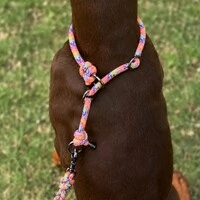 Coleira de Treino para Cachorros em Corda com Limitador – Cachorraria